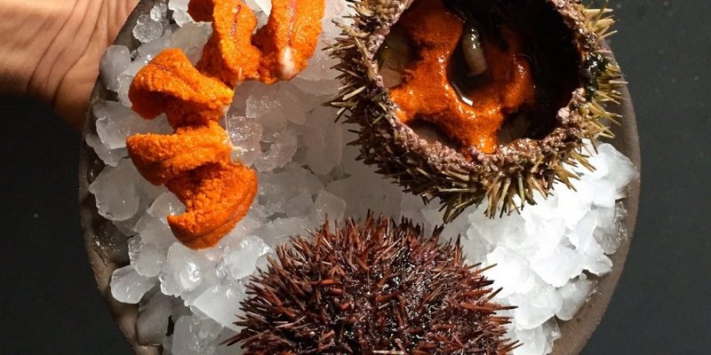 Как готовить сашими из морских ежей как профессионал: пошаговое руководство